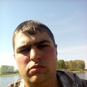  ,   , 33 ,   