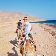 ���������� ����, ���� ������� ����, 35 ���, ������������ ��� ������, ����� � ���������, c�������� ���������