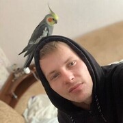 ���������� �����-���������, ���� ������� �������, 29 ���, ������������ ��� ������, ����� � ���������