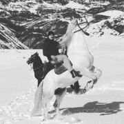 ���������� ������, ���� ����� �������, 25 ���, ������������ ��� ������, ����� � ���������