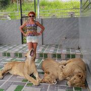 ���������� ������, ���� ������� �����, 50 ���, ������������ ��� ������, ����� � ���������