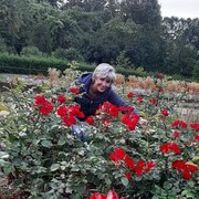  ,   , 57 ,   ,   , c 