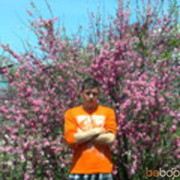  ,   , 38 ,   