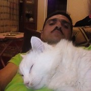  ,   Sexavet, 43 ,   