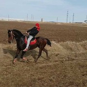 ���������� ������, ���� ������� ������, 31 ���, ������������ ��� ������, ����� � ���������, c�������� ���������