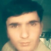  ,   Daler, 31 ,   ,   , c 