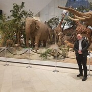 ���������� ������, ���� ������� ��������, 53 ����, ������������ ��� ������, ����� � ���������