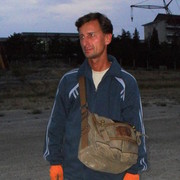  ,   , 51 ,   