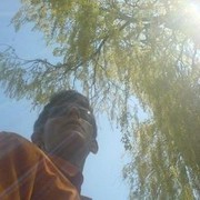  ,  , 38