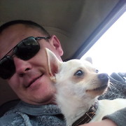 ���������� ��������, ���� ������� ���, 42 ����, ������������ ��� ����� � ���������, c�������� ���������