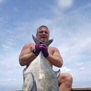 ���������� ���������, ���� ������� ������, 55 ���, ������������ ��� ������, ����� � ���������