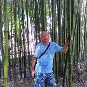  ,   , 50 ,   ,   , c , 