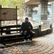 ���������� ���������, ���� ������� �������, 38 ���, ������������ ��� ������, ����� � ���������, c�������� ���������