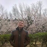 ���������� �������, ���� ������� ��������, 31 ���, ������������ ��� ������, ����� � ���������, c�������� ���������, ���������