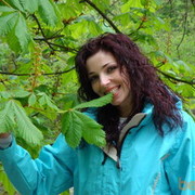 ���������� ����, ���� ������� �����, 43 ����, ������������ ��� ����� � ���������, c�������� ���������