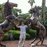 ���������� ������, ���� ������� ���������, 38 ���, ������������ ��� ������, ����� � ���������, c�������� ���������