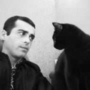  ,   Daggy, 34 ,   ,   
