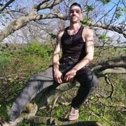  ,   , 41 ,   ,   , 