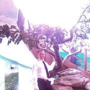 ���������� ��������, ���� ������� �������, 50 ���, ������������ ��� ������, ����� � ���������, c�������� ���������