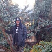  ,   , 50 ,   ,   , c , 