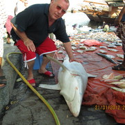 ���������� ����������, ���� ������� ����, 73 ����, ������������ ��� ������, ����� � ���������, c�������� ���������