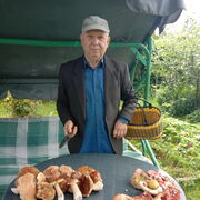 ���������� ������, ���� ������� ��������, 75 ���, ������������ ��� c�������� ���������, ���������