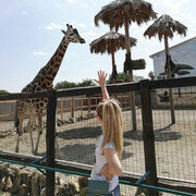 ���������� ������, ���� ������� ����, 37 ���, ������������ 