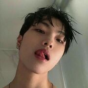 Koganei,  Ackerman, 24