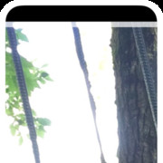 ���������� ���������, ���� ������� �������, 34 ����, ������������ ��� ������, ����� � ���������, c�������� ���������, ���������