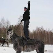 ���������� ����, ���� ������� �����, 45 ���, ������������ ��� ������