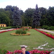  -,   Aleksandr, 33 ,   ,   , c 