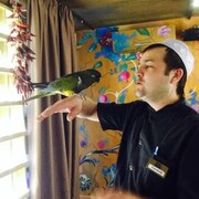 ���������� ������, ���� ������� �����, 32 ����, ������������ ��� ������, ����� � ���������