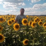  ,   , 40 ,  