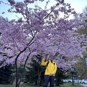 ���������� �����, ���� ������� ���������, 31 ���, ������������ ��� ������, ����� � ���������, c�������� ���������, ���������