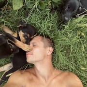 ���������� ����, ���� ������� ���������, 36 ���, ������������ ��� ������, ����� � ���������