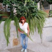  ,   , 66 ,  