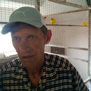  ,   , 68 ,   ,   