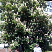  ,   , 36 ,   ,   , c , 