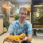 ���������� ������, ���� ������� ����������, 34 ����, ������������ ��� ������, ����� � ���������