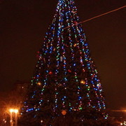 ���������� ������, ���� ������� ��������, 43 ����, ������������ ��� ������, ����� � ���������, c�������� ���������