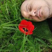 ���������� ���������, ���� ������� �����, 41 ���, ������������ ��� ����� � ���������, c�������� ���������