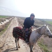  ,   , 31 ,   ,   