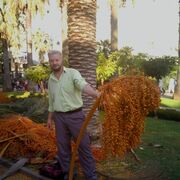 ���������� ����, ���� ������� �����, 45 ���, ������������ ��� ������, ����� � ���������, c�������� ���������