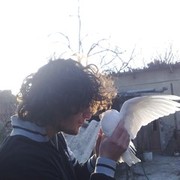 ���������� �������, ���� ������� NADA, 38 ���, ������������ ��� ������