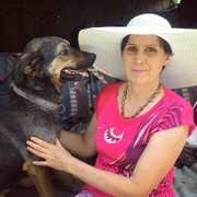  ,   , 65 ,  