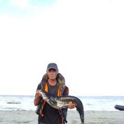  ,   , 60 ,   ,   , c , 