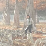 ���������� ���������, ���� ������� �����, 44 ����, ������������ ��� ���������