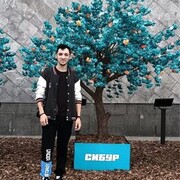 ���������� ������ ��������, ���� ������� ���������, 29 ���, ������������ ��� ������, ����� � ���������, c�������� ���������