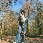 ���������� �������, ���������