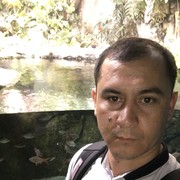 ���������� ������, ���� ������� ����, 41 ���, ������������ ��� ������, ����� � ���������, c�������� ���������